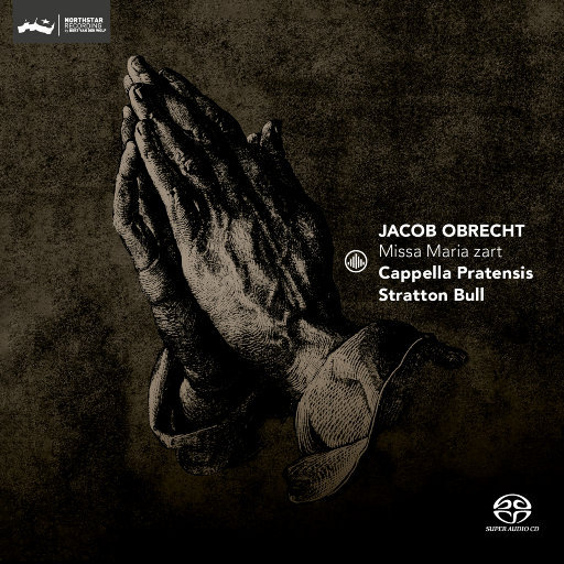 小樱被佐助扒开腿❌黄
